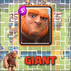 Giant